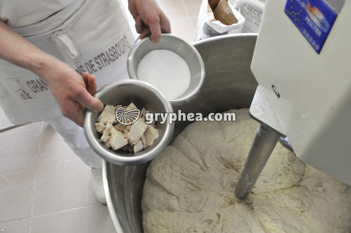 Fabrication du pain - Ingrédients solides du pain (levure, sel , farine pétrie en présence d'eau) - gryphea.com